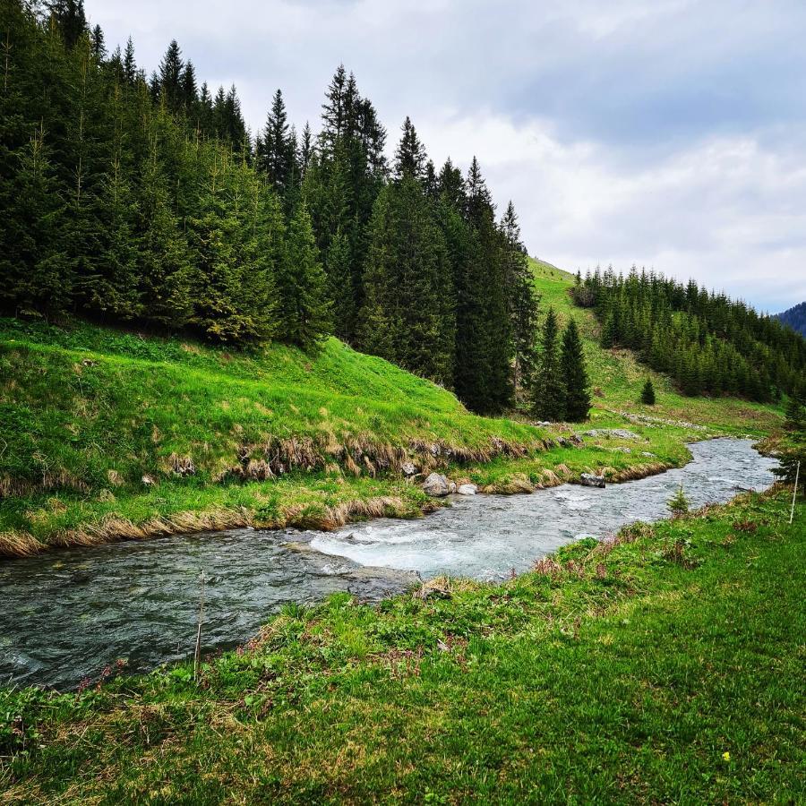 Fewo D'Rock Arosa- Center Of Nightlife By Nature Apartments Switzerland Εξωτερικό φωτογραφία
