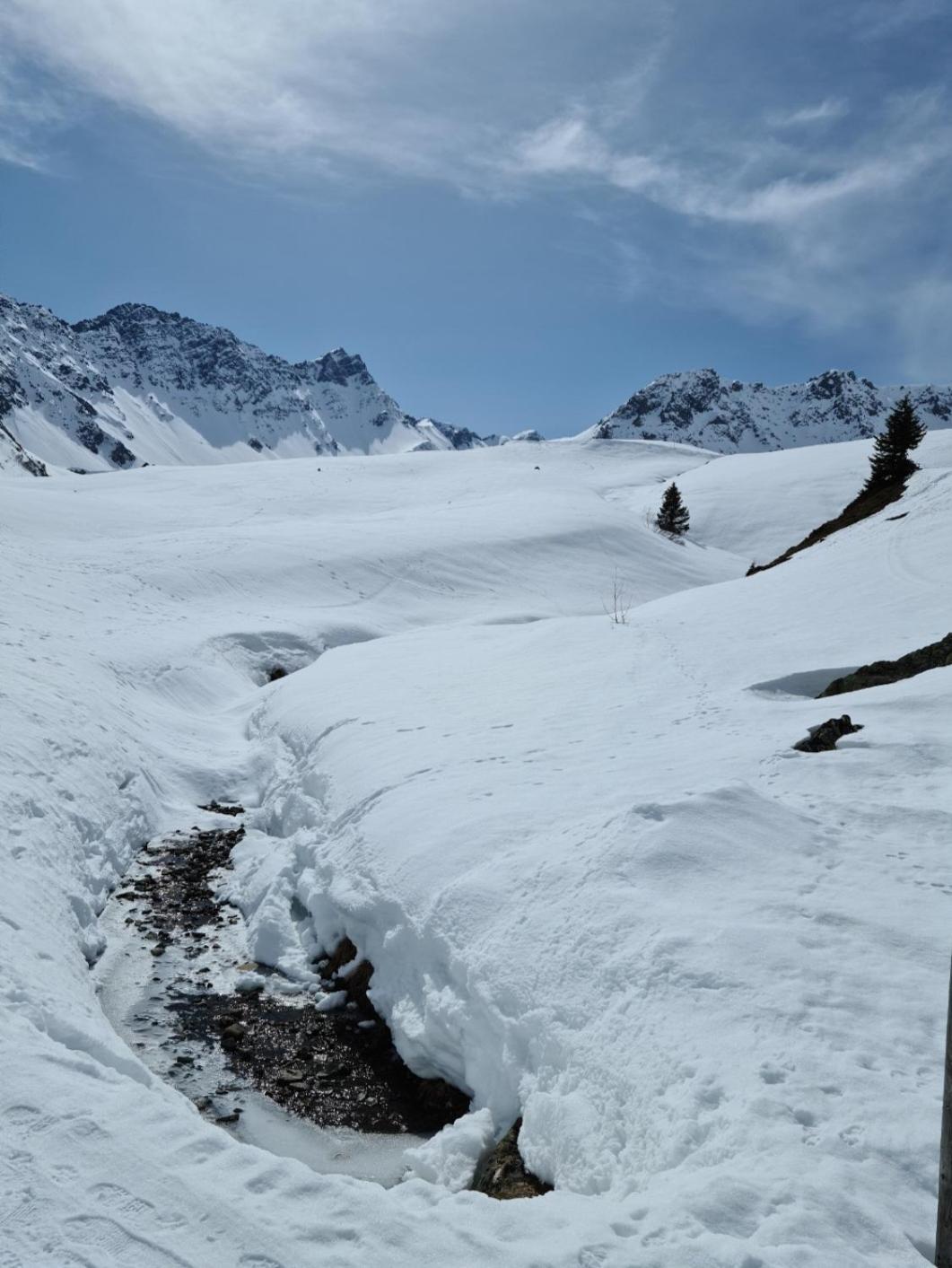 Fewo D'Rock Arosa- Center Of Nightlife By Nature Apartments Switzerland Εξωτερικό φωτογραφία