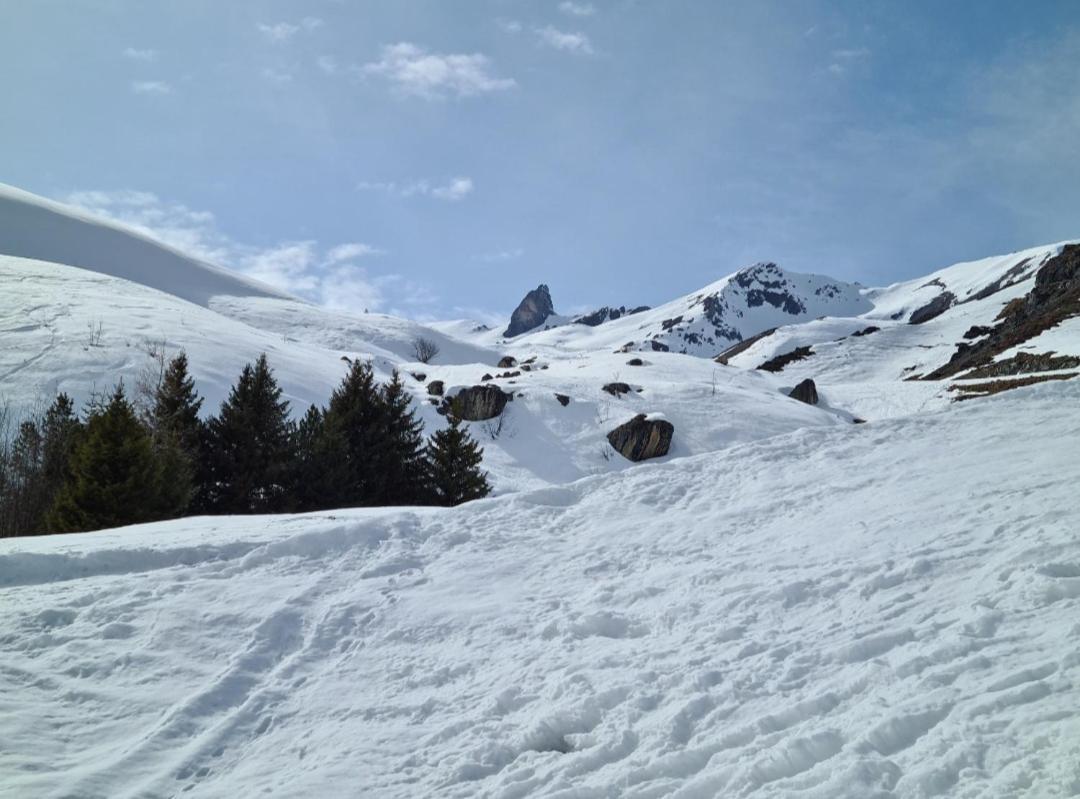 Fewo D'Rock Arosa- Center Of Nightlife By Nature Apartments Switzerland Εξωτερικό φωτογραφία