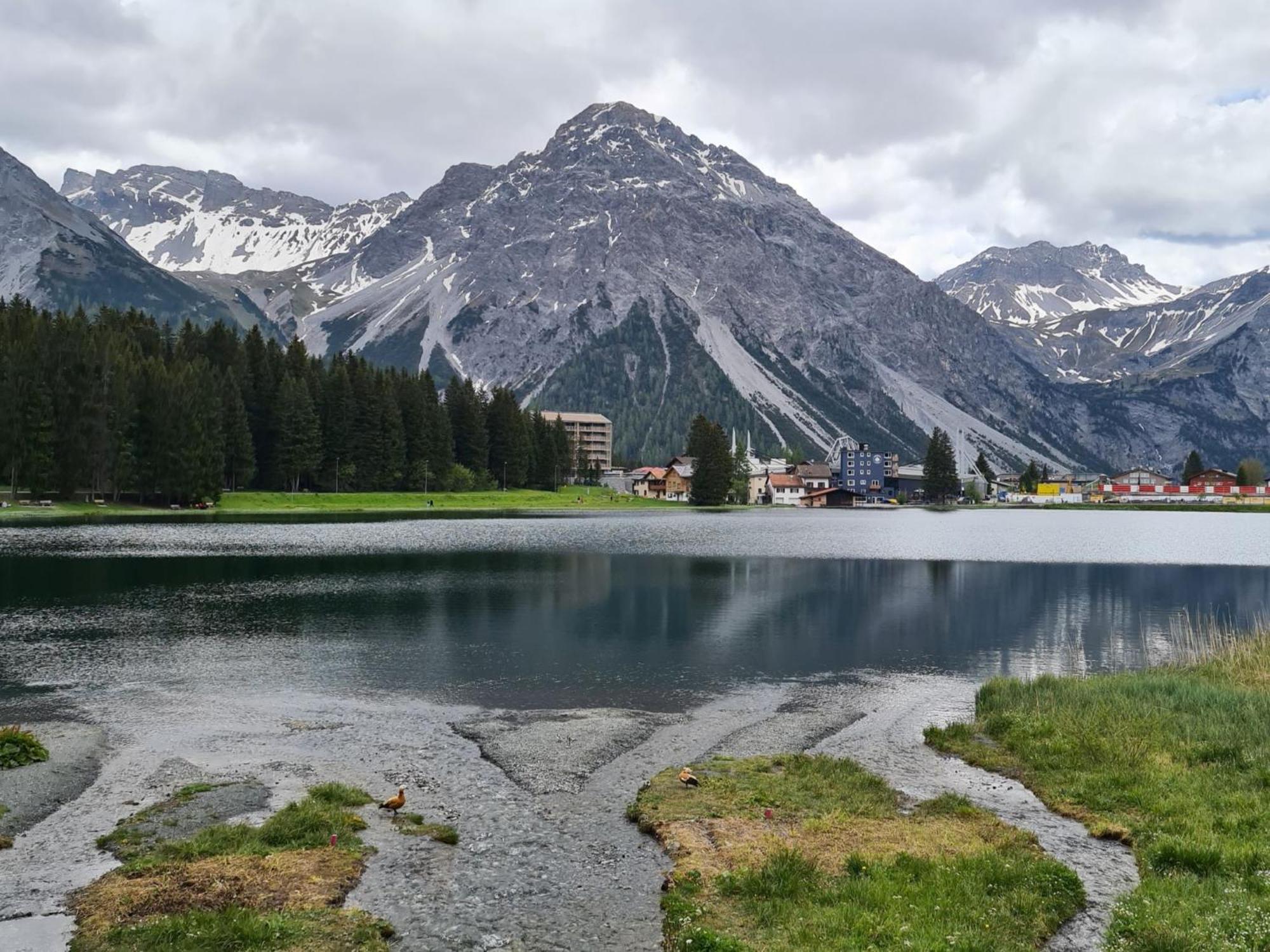 Fewo D'Rock Arosa- Center Of Nightlife By Nature Apartments Switzerland Εξωτερικό φωτογραφία